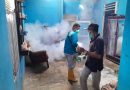 Dinkes Pasbar Intensifkan PE, PSN,dan Gotong Royong Cegah DBD